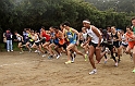 2011 BayXC-233